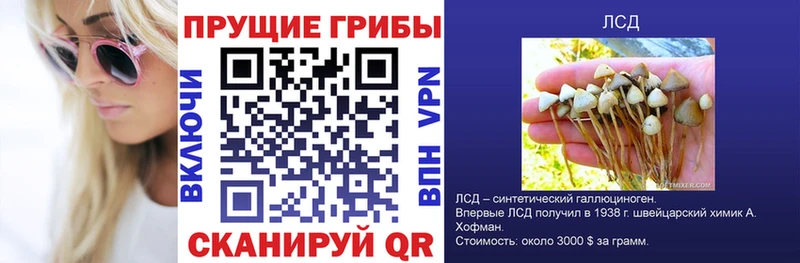 Галлюциногенные грибы Cubensis  Сальск 