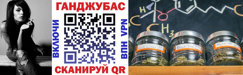 дарнет шоп  Сальск  Марихуана семена 